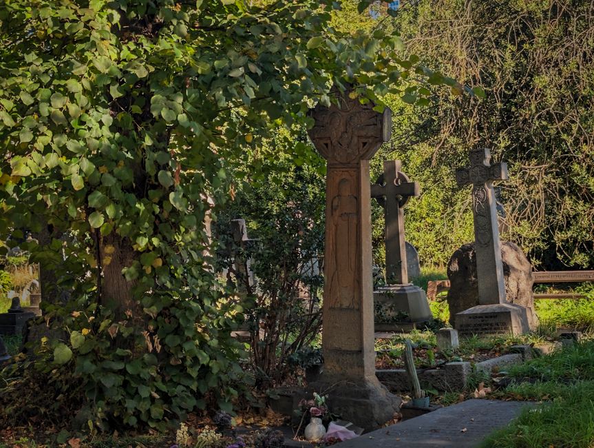 A section of a graveyard or cemetery scene features several weathered stone crosses and tombstones set among lush green foliage. The central stone cross, slightly taller than the others, has intricate carved patterns and a rough textured surface with a mix of light and dark grey tones. To its left, a large bush with broad, rounded green leaves partially obscures some of the grave markers. Surrounding the stones are additional headstones of varying shapes and sizes, some with ornate carvings, others with simple designs, all showing signs of age and natural weathering. The background includes dense trees and more tombstones, creating a shaded environment under natural sunlight filtering through the leaves, casting gentle shadows. The scene appears tranquil and well-maintained, with no signs of recent disturbance or debris, reflecting a respectful resting place for the departed. This image relates to private or alternative waste management practices for cemetery upkeep, aligning with services offered by Rubbish Removal Brompton, focused on efficient clearing of garden debris and old fixtures.