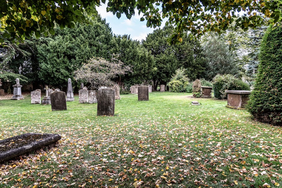 A cemetery scene featuring upright headstones and memorial plaques made of stone, with varying shapes and sizes, set on a grassy area covered in fallen autumn leaves. The headstones display weathered surfaces and natural textures, with some darker and more aged than others, and are positioned in a scattered arrangement across the lawn. In the background, dense greenery comprising tall trees and bushes surrounds the area, providing a shaded and tranquil environment. The trees have thick foliage with a mixture of green and yellow leaves, some of which are falling and scattered on the ground. The image is illuminated by soft, natural daylight, enhancing the tranquil and contemplative atmosphere typical of such sites. The scene is consistent with sites where private rubbish removal or on-site clearance could occur, particularly when organizing maintenance or clearing debris from outdoor memorial grounds, with the presence of natural surroundings emphasizing the importance of proper waste management for such outdoor spaces. The overall composition presents a quiet, respectful outdoor setting.